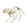 Home Accents Holiday 14 In. Animated Skeleton Cat With Light And Sound Halloween Props