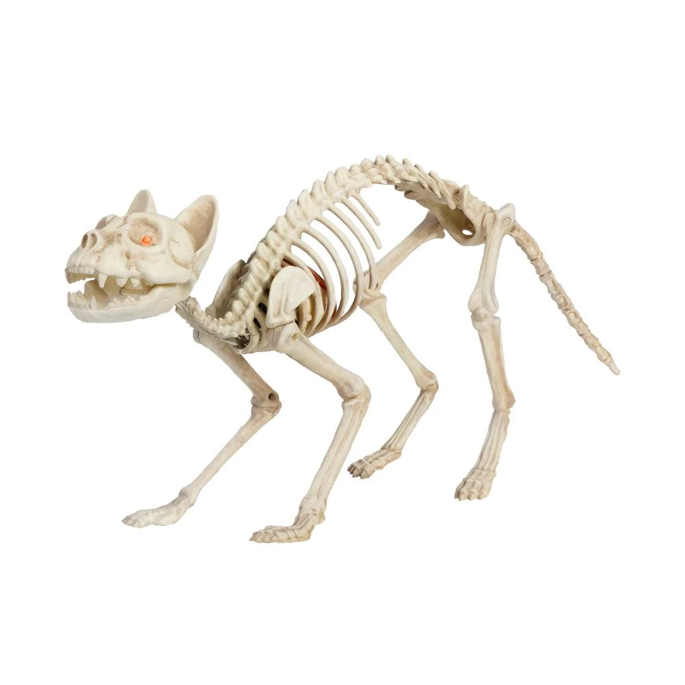 Home Accents Holiday 14 In. Animated Skeleton Cat With Light And Sound Halloween Props 3 Home Accents Holiday 14 In. Animated Skeleton Cat With Light And Sound Halloween Props