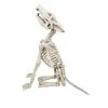 Halloween Props Home Accents Holiday 2.5 Ft Animated LED Howling Skeleton Wolf 2 Halloween Props Home Accents Holiday 2.5 Ft Animated LED Howling Skeleton Wolf