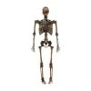 Home Accents Holiday 5 Ft. LED Pose-N-Stay Decayed Skeleton