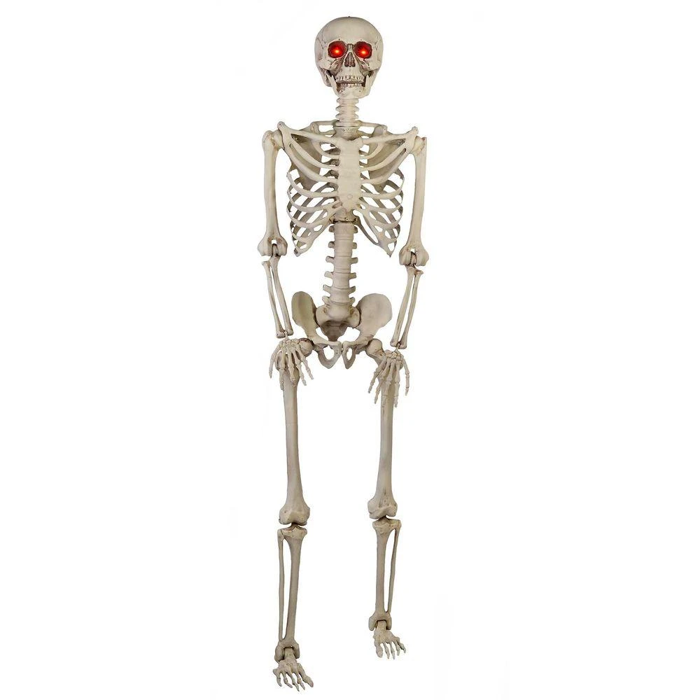 Halloween Props Home Accents Holiday 5 Ft LED Pose-N-Stay Skeleton 3 Halloween Props Home Accents Holiday 5 Ft LED Pose-N-Stay Skeleton