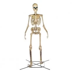 Home Accents Holiday 12 Ft. Giant-Sized Skeleton With LifeEyes Halloween Yard Decor