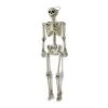 Worth Imports 60 In. Halloween Life Size Hanging Skeleton